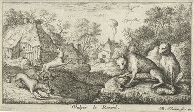 Foxes (Various Animal Species, series title) by Albert Flamen