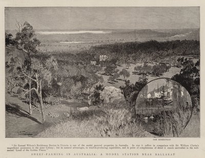 Sheep-Farming in Australia, a Model Station Near Ballarat by Albert Henry Fullwood