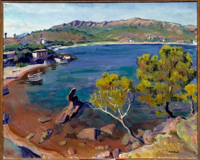 Landscape of the Midi by Albert Marquet