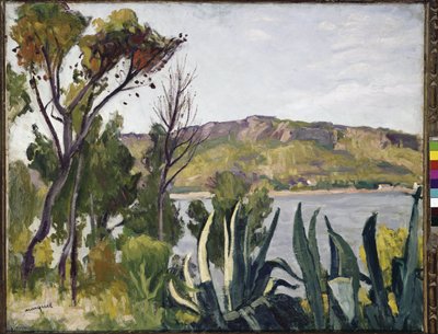 Landscape with agave by Albert Marquet