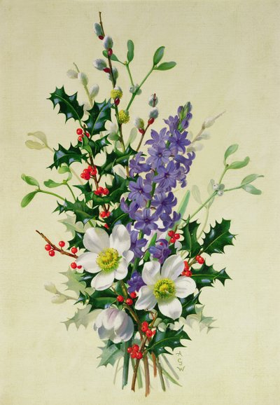 Spray of Dogrose, Holly, Mistletoe and Larkspur by Albert Williams