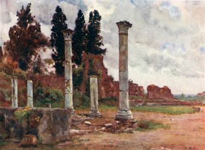 Library of the House of Domitian on the Palatine by Alberto Pisa