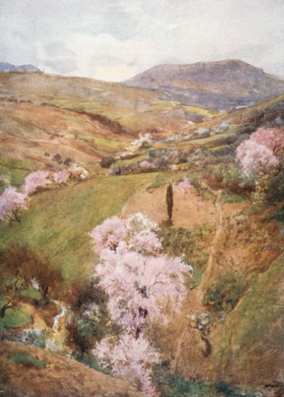 Spring Day in a Valley near Girgenti by Alberto Pisa