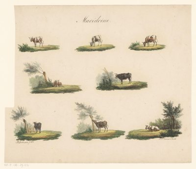 Cows in Landscape by Albertus Verhoesen