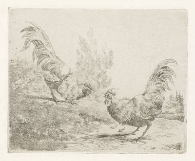 Two Fighting Roosters by Albertus Verhoesen