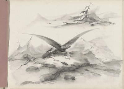Eagle Flying Over a Coast with Mountains by Albertus van Beest