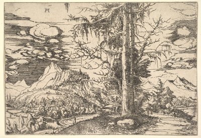 Landscape with a Double Spruce by Albrecht Altdorfer