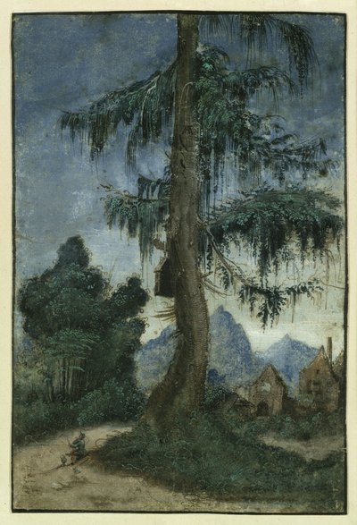 Landscape with Spruce by Albrecht Altdorfer