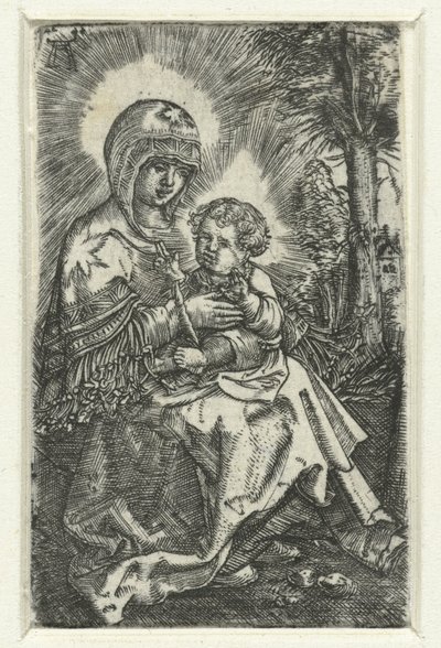 Mary with Child in Landscape by Albrecht Altdorfer