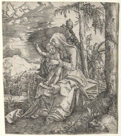 The Virgin in a Landscape by Albrecht Altdorfer