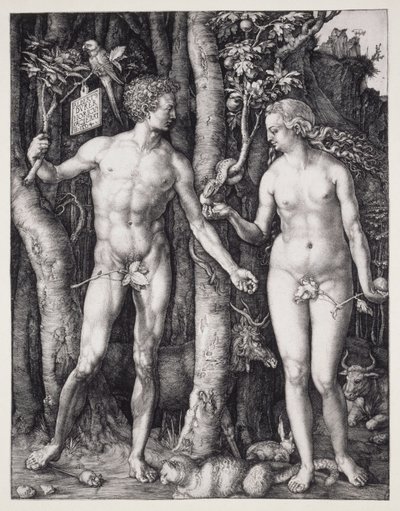 Adam and Eve by Albrecht Dürer