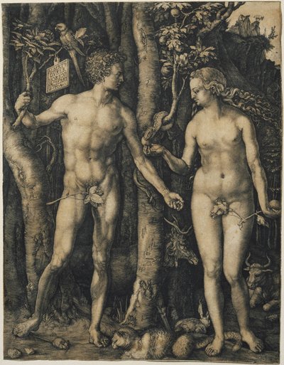 Adam and Eve by Albrecht Dürer