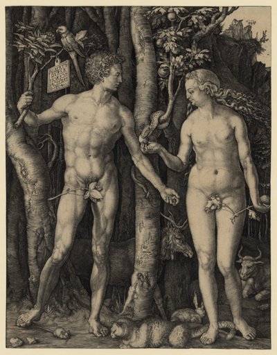 Adam and Eve by Albrecht Dürer