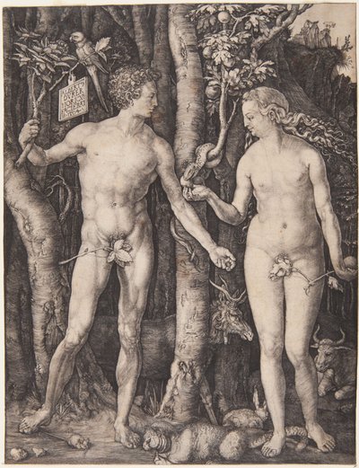 Adam and Eve by Albrecht Dürer