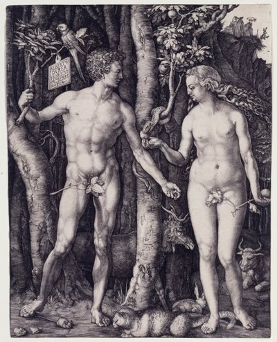 Adam and Eve by Albrecht Dürer