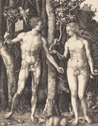 Adam and Eve by Albrecht Dürer