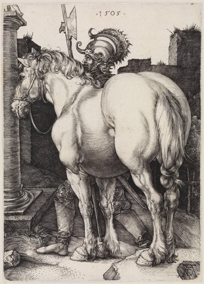 The Great Horse by Albrecht Dürer