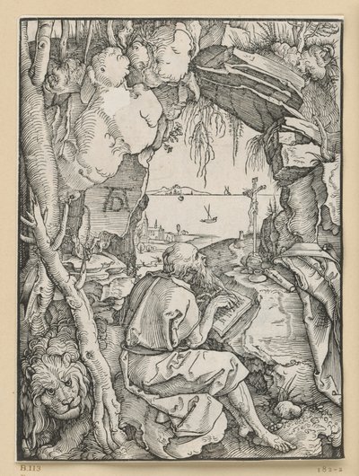 Saint Jerome in the Cave by Albrecht Dürer
