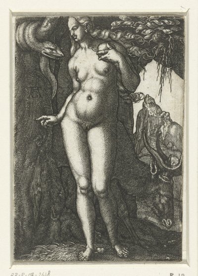 Eva by Albrecht Dürer