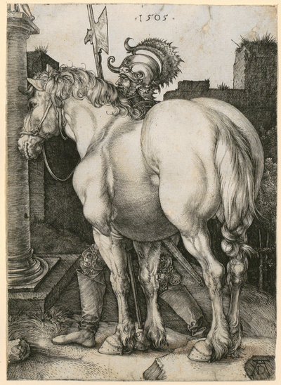 The Large Horse by Albrecht Dürer