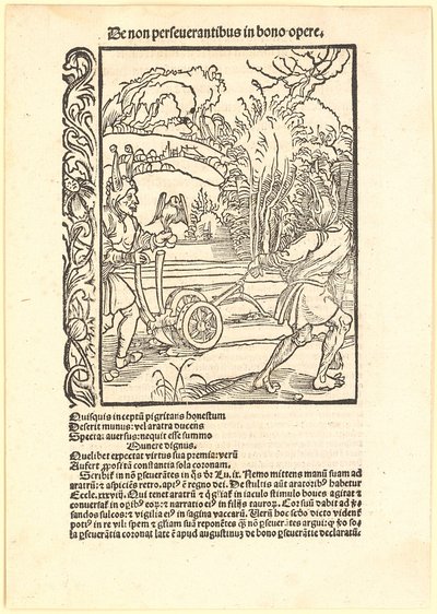 Despising Good Advice by Albrecht Dürer