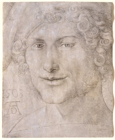 Head of a Young Man by Albrecht Dürer