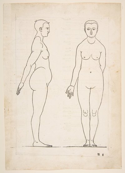 Illustration from Dürer