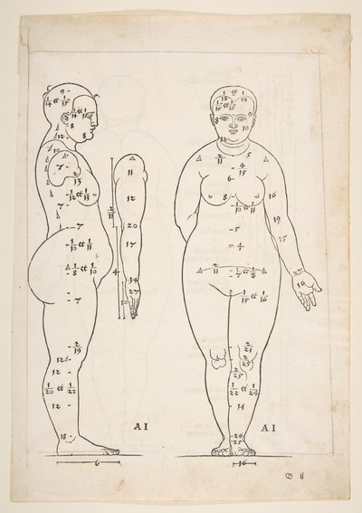 Illustration from Dürer