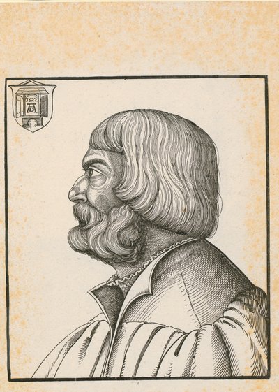 Knot with Seven Equal Braids by Albrecht Dürer