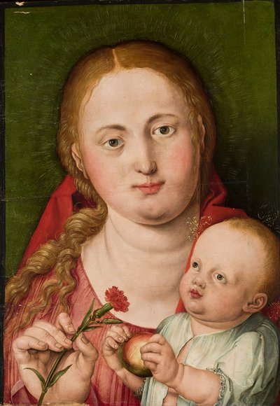 Madonna with Child and Carnation by Albrecht Dürer