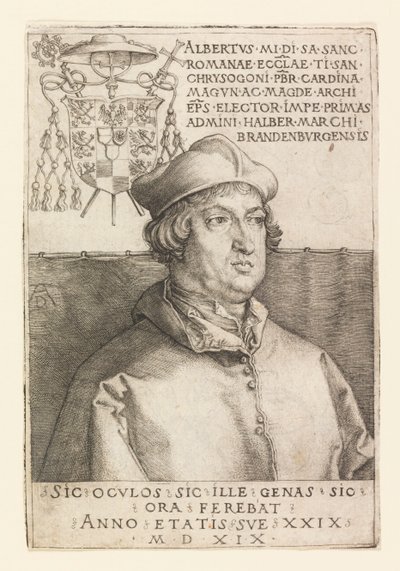 Portrait of Albrecht of Brandenburg by Albrecht Dürer