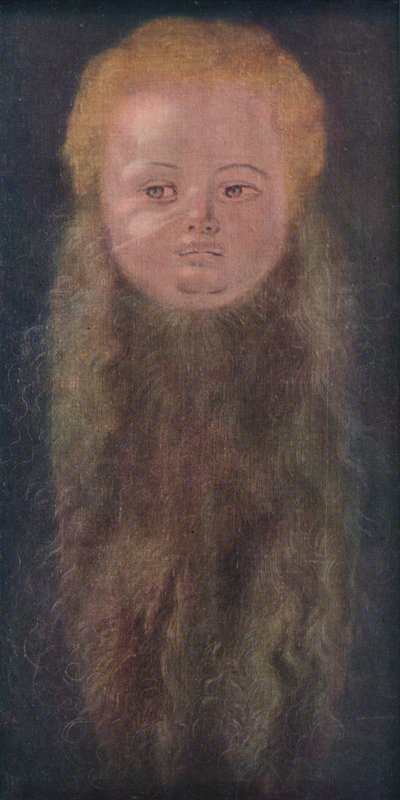 Portrait of a Boy with a Long Beard by Albrecht Dürer
