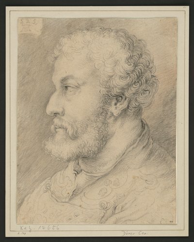 Profile Portrait of Raymund Fugger? by Albrecht Dürer