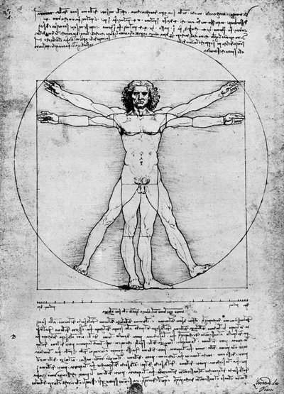 Proportions of the Human Figure, c1492, 1936 by Albrecht Dürer
