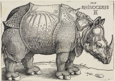 Rhinocerus (The Rhinoceros) by Albrecht Dürer
