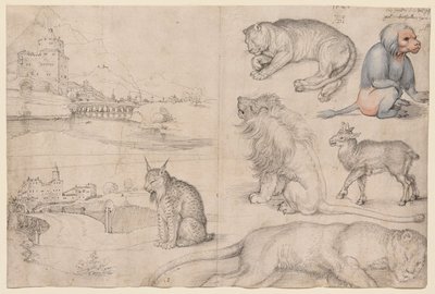 Sketches of Animals and Landscapes by Albrecht Dürer