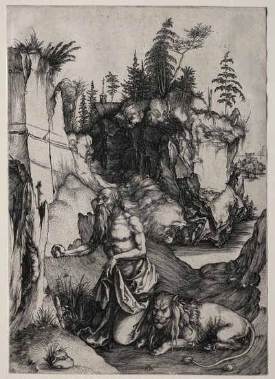 St. Jerome in Penitence by Albrecht Dürer