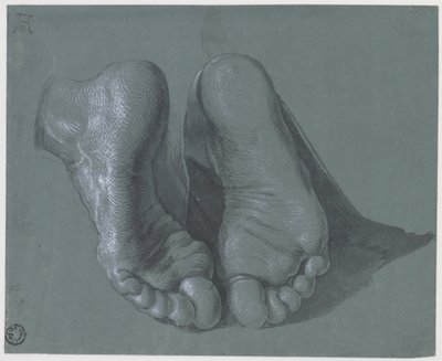 Study of Two Feet by Albrecht Dürer
