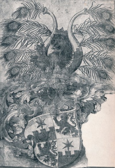 The Coat of Arms of Wilhelm and Wolfgang Roggendorff by Albrecht Dürer