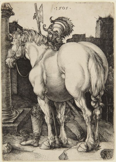 The Great Horse by Albrecht Dürer