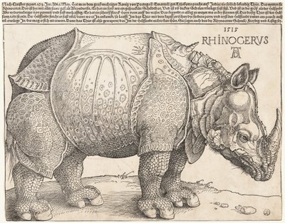 The Rhinoceros by Albrecht Dürer