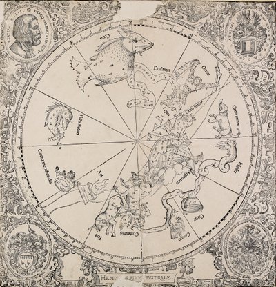The Celestial Chart of the Southern Hemisphere by Albrecht Dürer