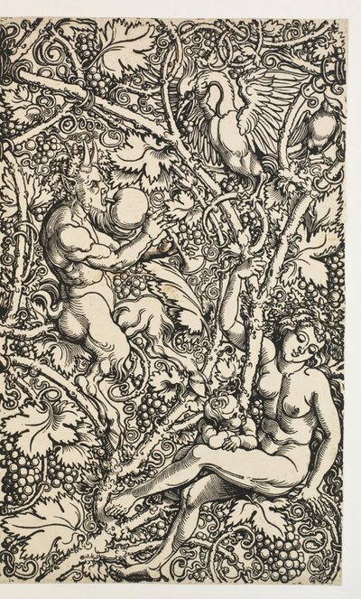 Two Designs for Tapestry with Satyr Family by Albrecht Dürer
