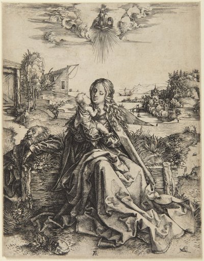 Virgin and Child with a Dragonfly by Albrecht Dürer