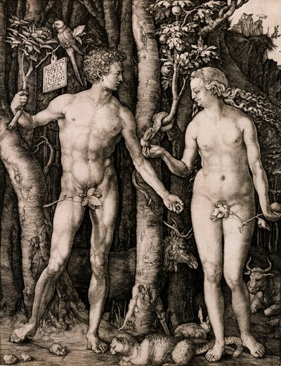 Adam and Eve by Albrecht Dürer