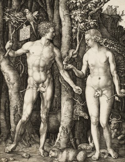 Adam and Eve by Albrecht Dürer