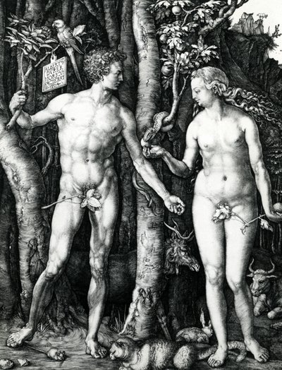 Adam and Eve by Albrecht Dürer