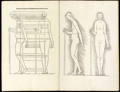 Female with staff, anatomical woodcut from Hierinn sind begriffen vier Bücher von menschlicher Proportion, 1528 by Albrecht Dürer