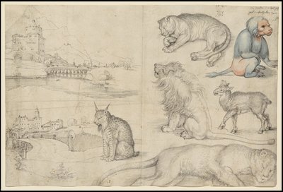 Sketches of Animals and Landscapes, 1521 by Albrecht Dürer