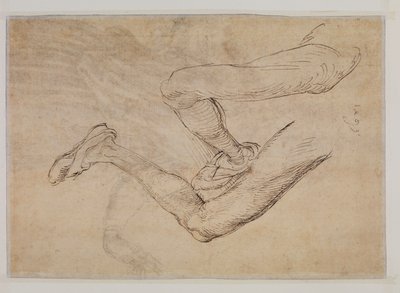 Study of a Left Leg from Two Viewpoints by Albrecht Dürer